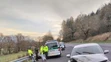 Neďaleko Hybe pod kolesami auta zahynul ďalší medveď