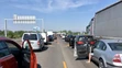 Tvoria sa rozsiahle kolóny.