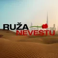 Ruža pre nevestu