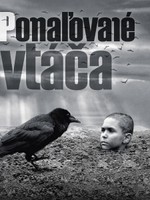 Pomaľované vtáča