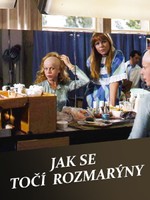 Jak se točí Rozmarýny