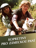 Kopretiny pro zámeckou paní