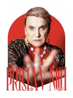 Prišla v noci