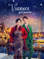 Vianoce pri jazere