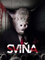 Sviňa