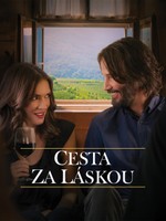 Cesta za láskou
