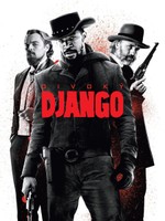 Divoký Django