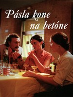 Pásla kone na betóne