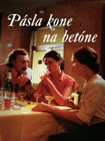 Pásla kone na betóne