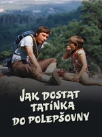 Jak dostat tatínka do polepšovny