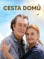 Cesta domů