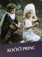 Kočičí princ