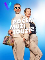 Po čem muži touží 2