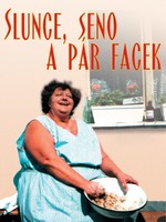 Slunce, seno a pár facek