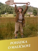 Pohádka o Malíčkovi