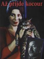 Až přijde kocour