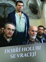 Dobří holubi se vracejí