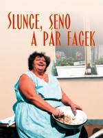 Slunce, seno a pár facek