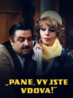 „Pane, vy jste vdova!“