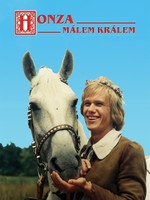 Honza málem králem