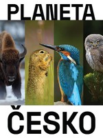 Planeta Česko