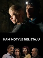 Kam motýle nelietajú
