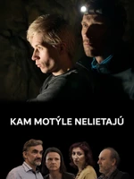 Kam motýle nelietajú