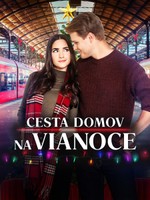 Cesta domov na Vianoce
