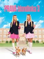 Pravá blondínka 3