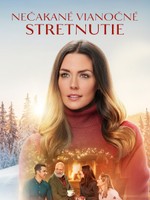 Nečakané vianočné stretnutie