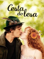 Cesta do lesa