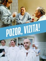Pozor, vizita!