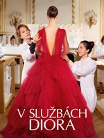 V službách Diora