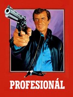 Profesionál