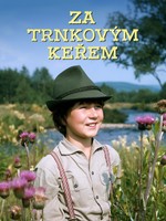 Za trnkovým keřem