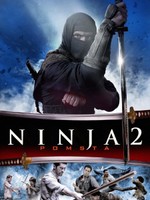 Ninja 2: Pomsta