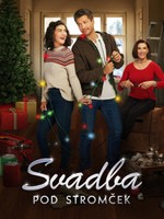 Svadba pod stromček
