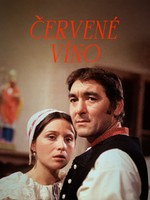 Červené víno 2/2