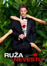 Ruža pre nevestu