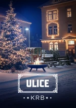Ulice krb