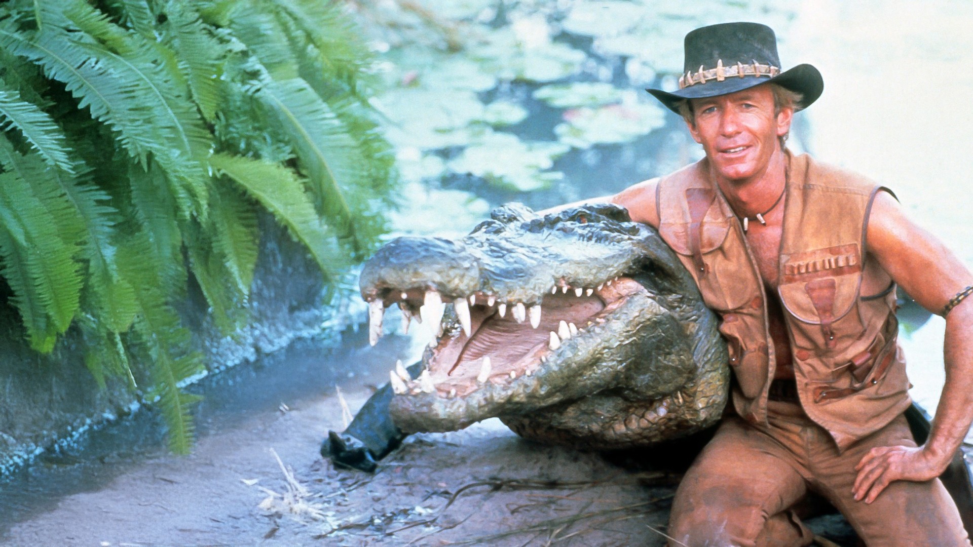 Krokodíl Dundee