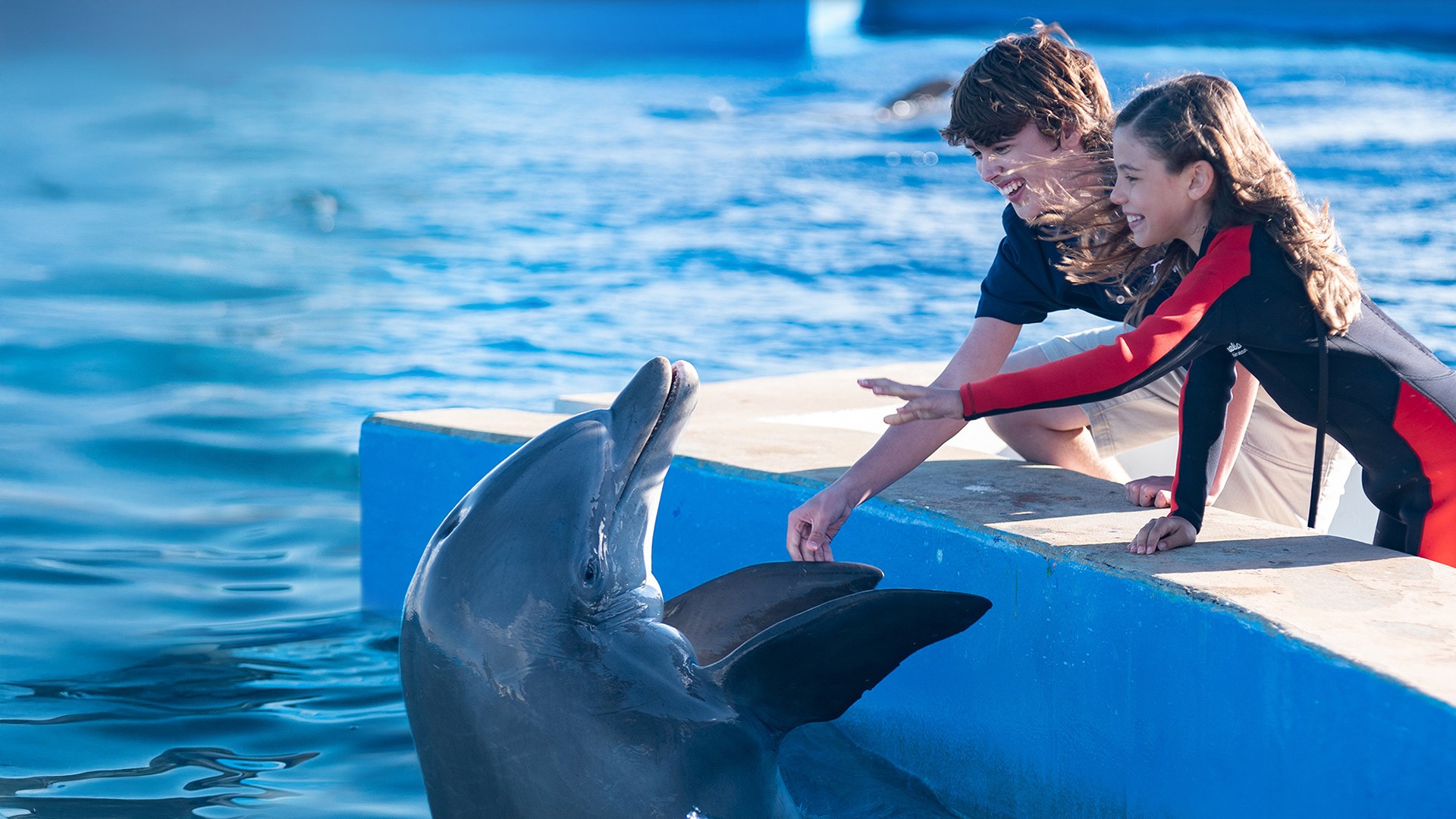 Môj kamarát delfín 2