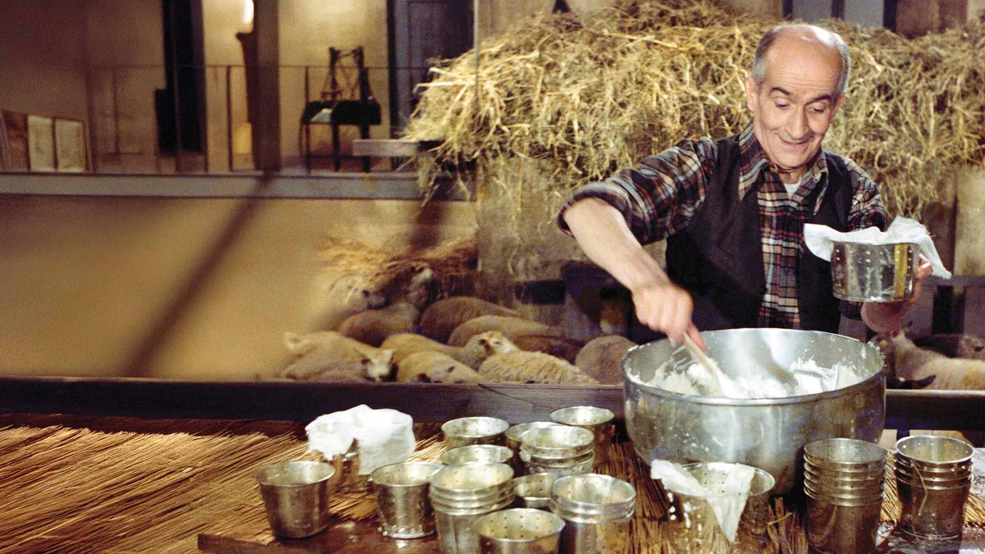 Ani z voza, ani na voz