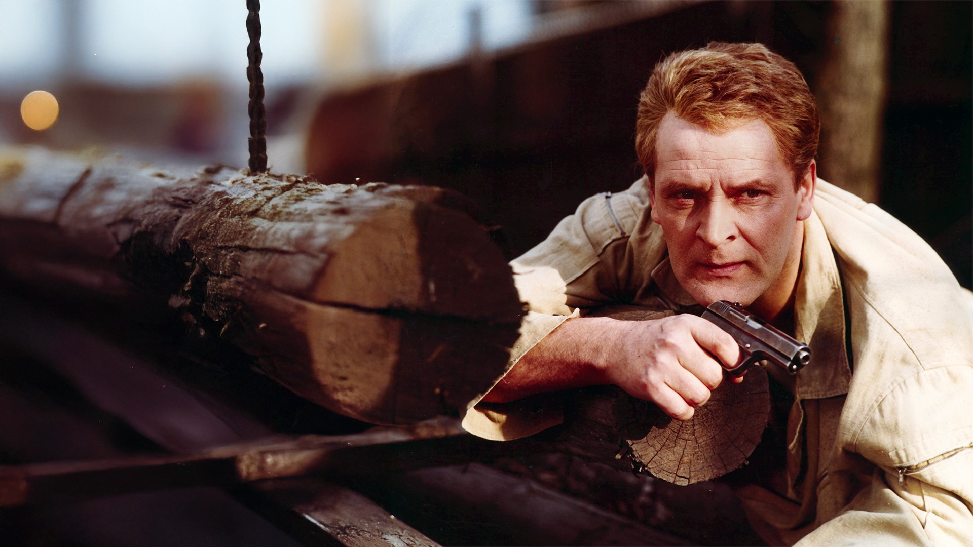 Tridsať prípadov majora Zemana