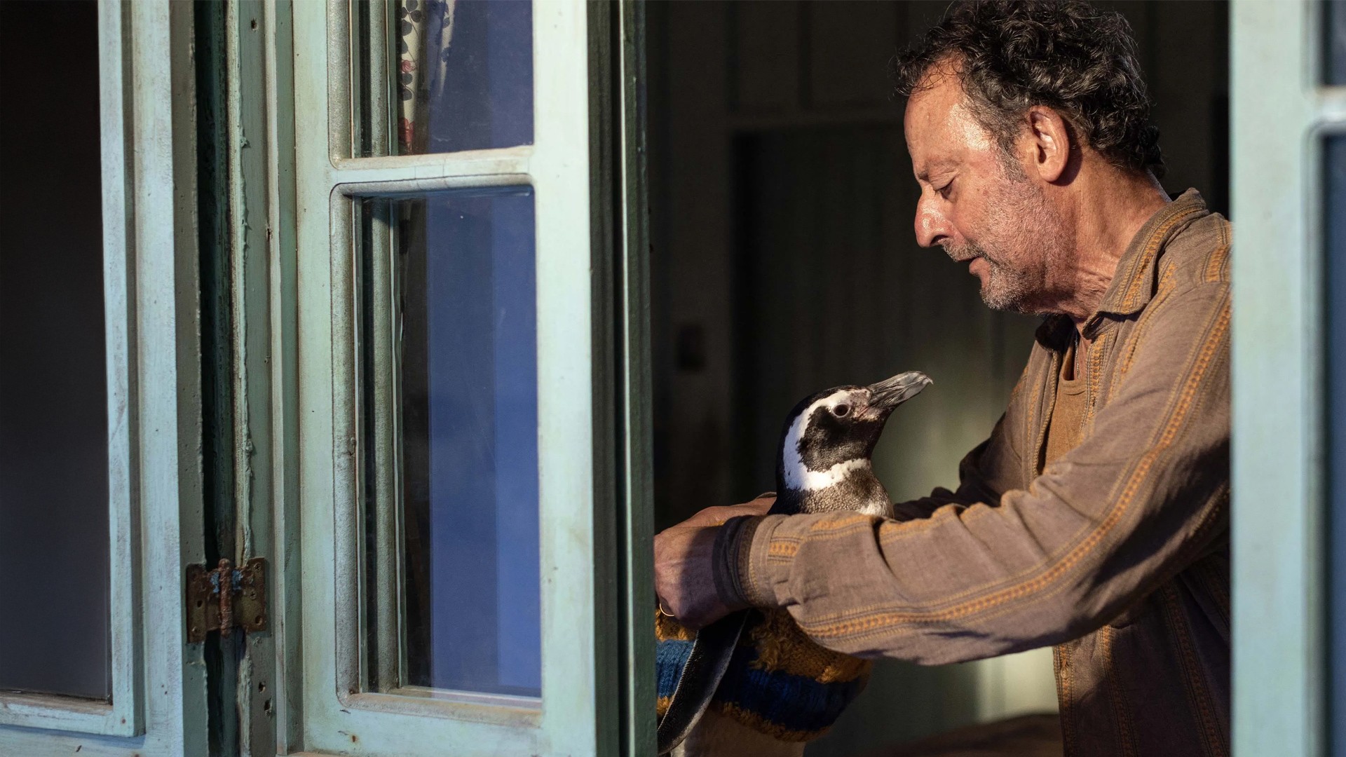 Môj kamarát tučniak