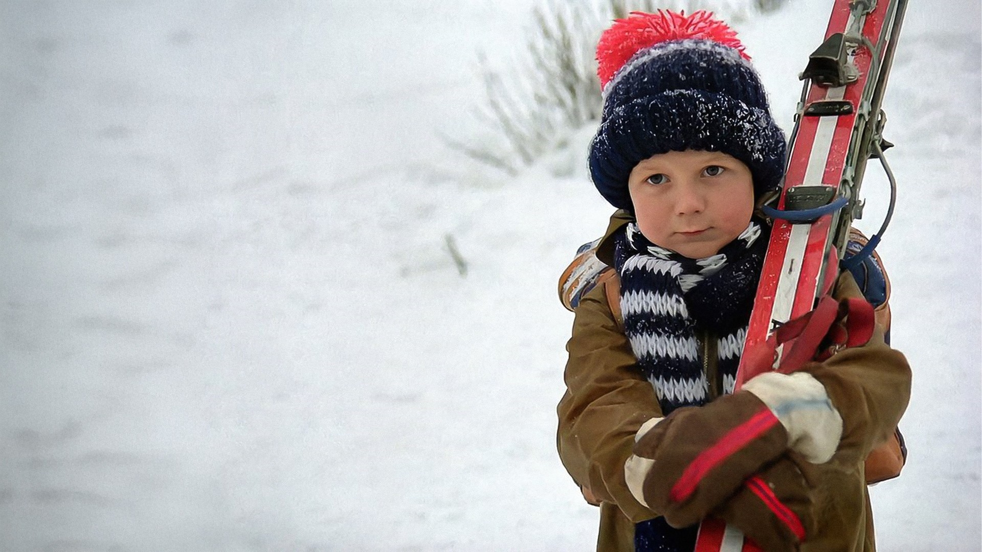 Jak vytrhnout velrybě stoličku