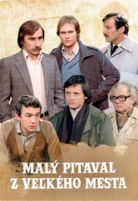 Malý pitaval z veľkého mesta