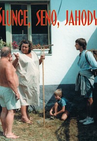 Slunce, seno, jahody