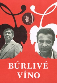 Búrlivé víno