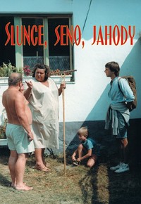 Slunce, seno, jahody